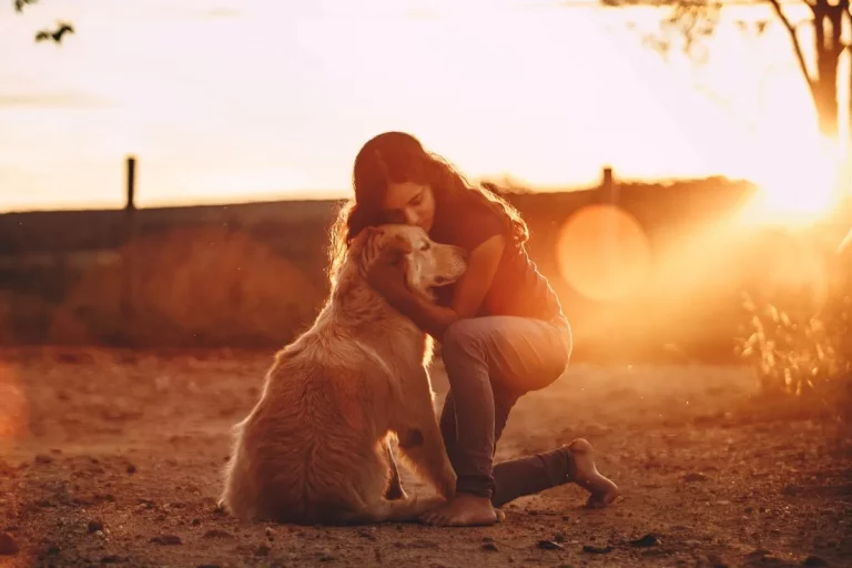 Sinais Ocultos do Amor Incondicional do Seu Cachorro por Você!